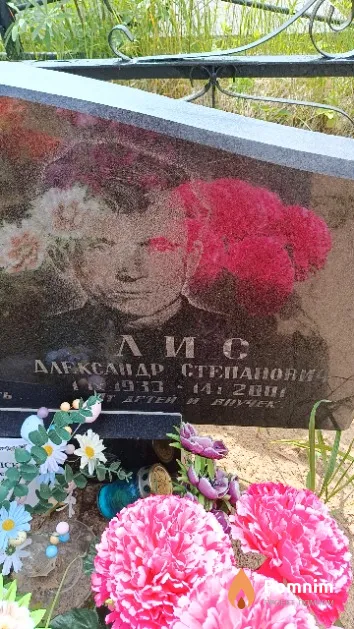 Лис Александр Степанович