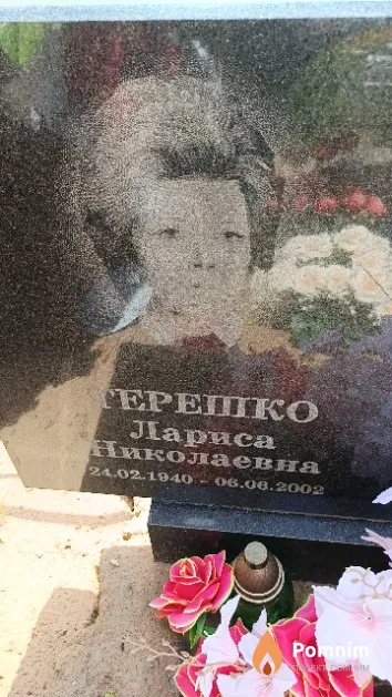 Терешко Лариса Николаевна