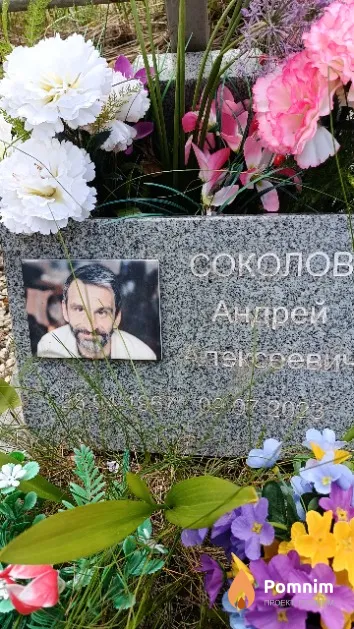 Соколов Андрей Алексеевич