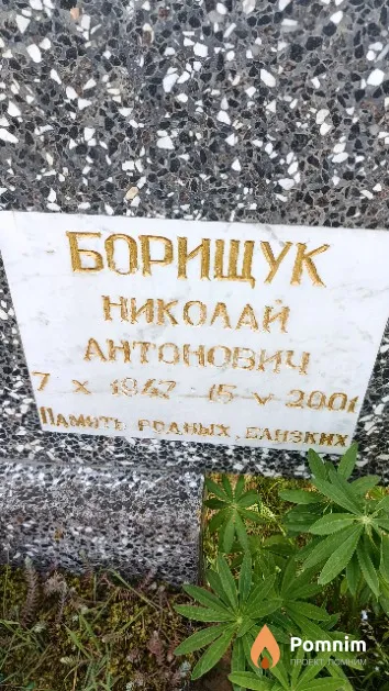 Борищук Николай Антонович