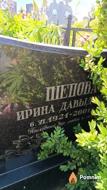 Шепова Ирина Давыдовна