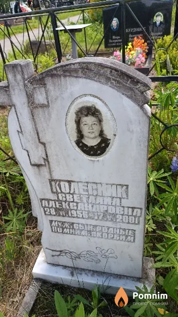 Колесник Светлана Александровна
