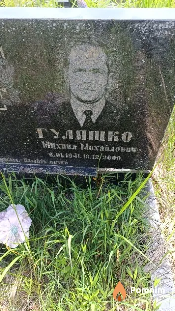 Гуляшко Михаил Михайлович