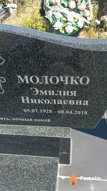 Молочко Эмилия Николаевна