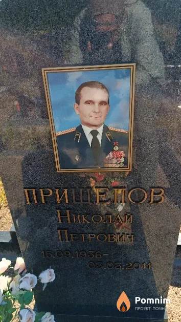 Прищепов Николай Петрович