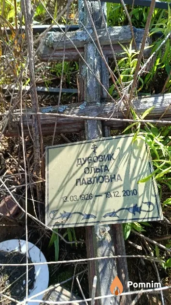 Дубовик Ольга Павловна