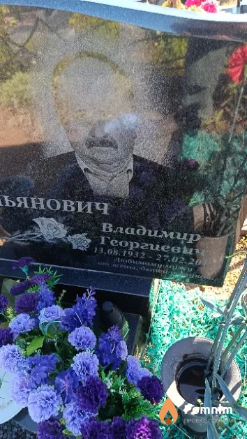Емельянович Владимир Георгиевич