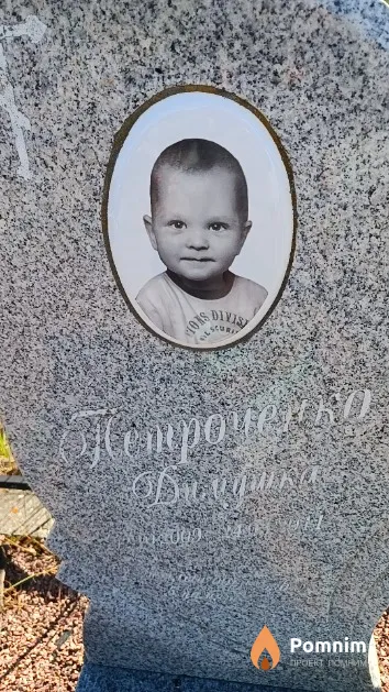 Петроченко Дмитрий