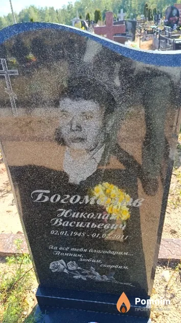 Богомолов Николай Васильевич