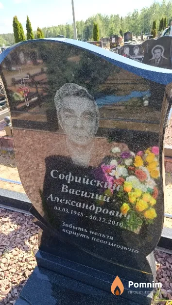 Софийский Василий Александрович