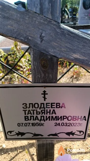 Злодеева Татьяна Владимировна