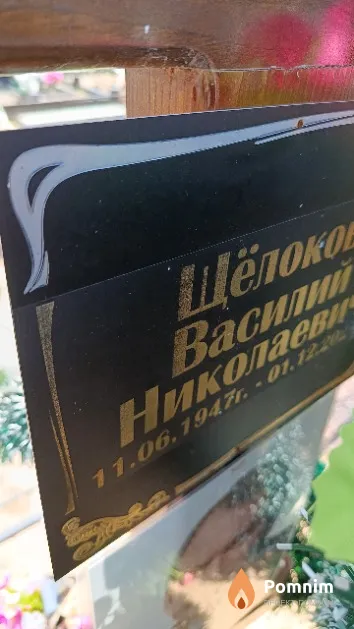 Щёлоков Василий Николаевич