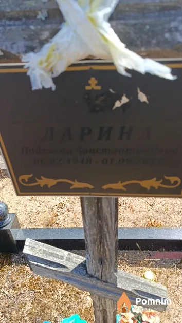 Ларина Надежда Константиновна