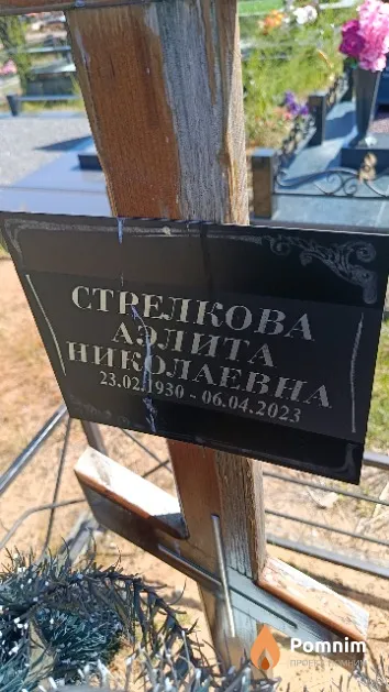 Стрелкова Аэлита Николаевна