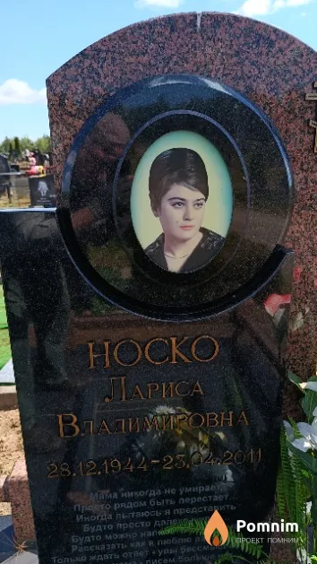 Носко Лариса Владимировна