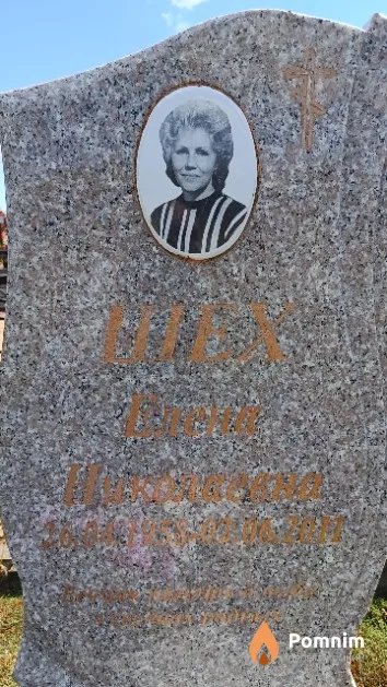 Шех Елена Николаевна
