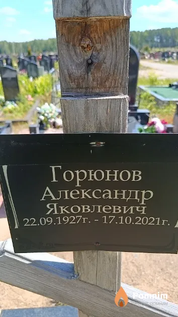 Горюнов Александр Яковлевич