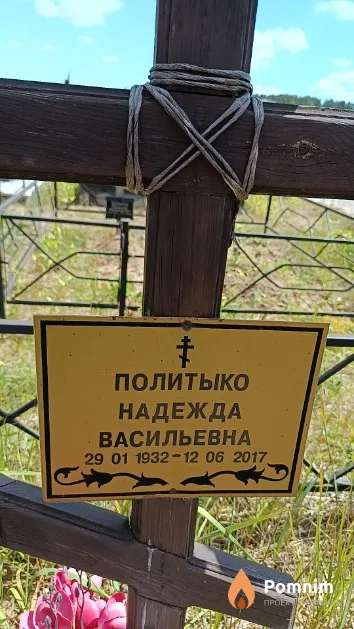 Политыко Надежда Васильевна