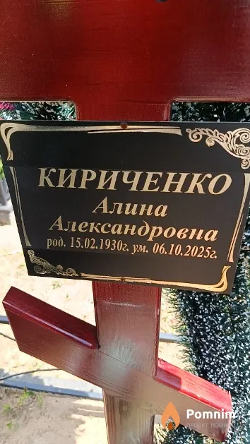 Кириченко Алина Александровна