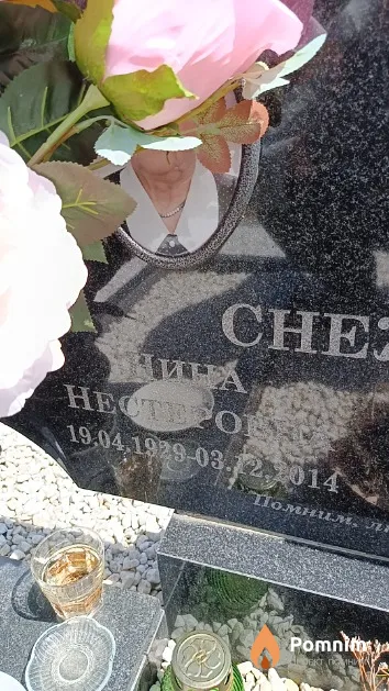 Снежкова Нина Нестеровна