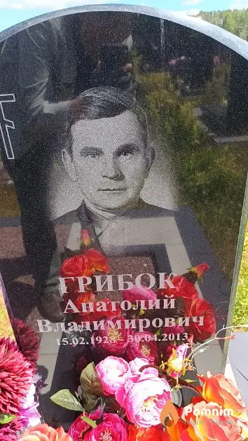 Грибок Анатолий Владимирович