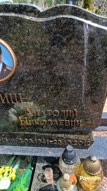 Дебиш Анатолий Николаевич
