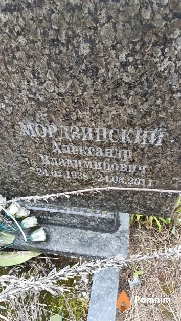 Мордзинский Александр Владимирович