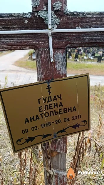 Гудач Елена Анатольевна