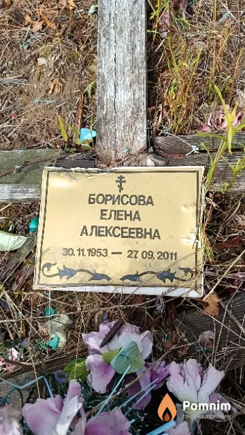 Борисова Елена Алексеевна