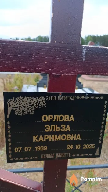Орлова Эльза Каримовна