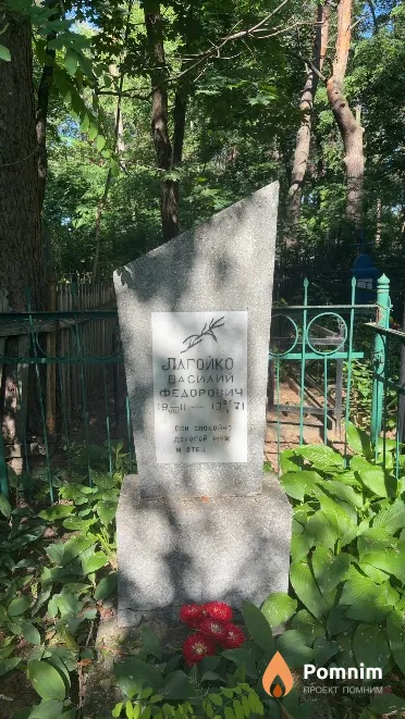 Лагойко Василий Федорович