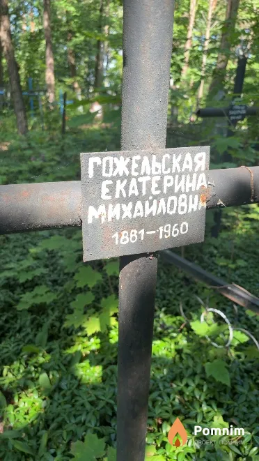 Гожельская Екатерина Михайловна