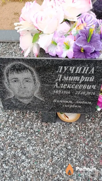 Лучина Дмитрий Алексеевич