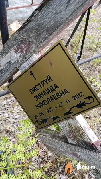 Пиструй Зинаида Николаевна