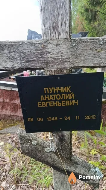 Пунчик Анатолий Евгеньевич