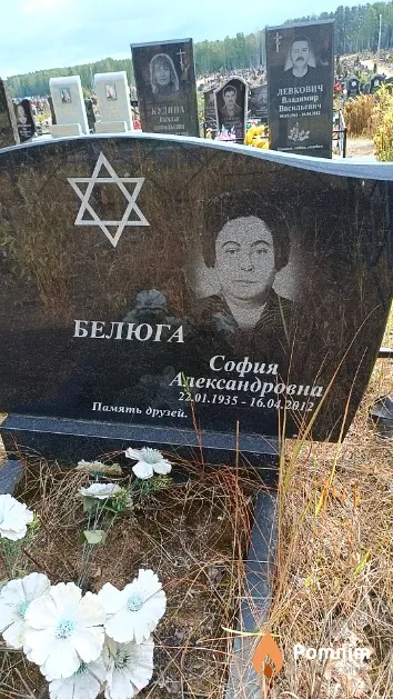 Белюга София Александровна