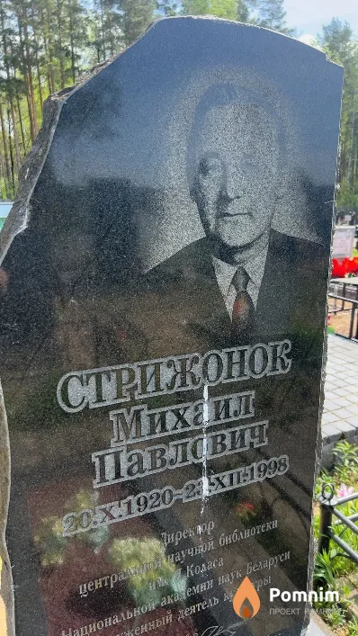 Стрижонок Михаил Павлович