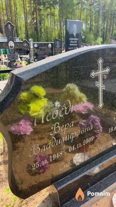 Лебедка Bepa Владимировна