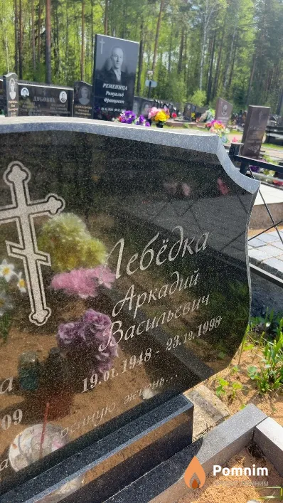 Лебедка Аркадий Васильевич