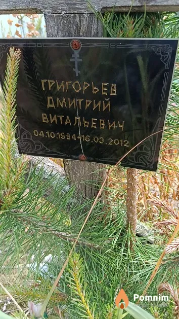 Григорьев Дмитрий Витальевич