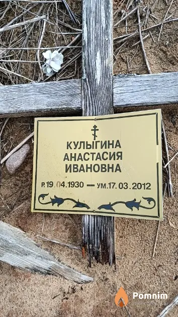 Кулыгина Анастасия Ивановна
