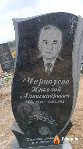 Черноусов Николай Александрович