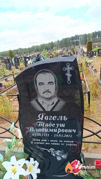 Явгель Тадеуш Владимирович