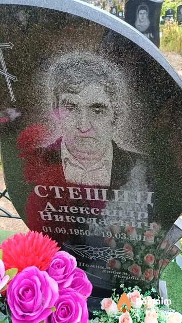 Стешиц Александр Николаевич