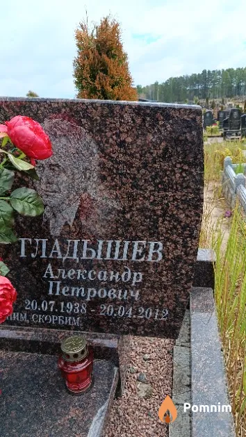 Гладышев Александр Петрович