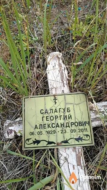 Салагуб Георгий Александрович