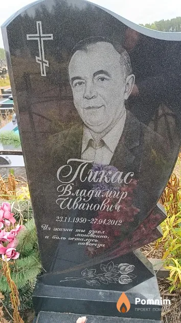 Пикас Владимир Иванович