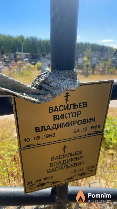 Васильев Виктор Владимирович