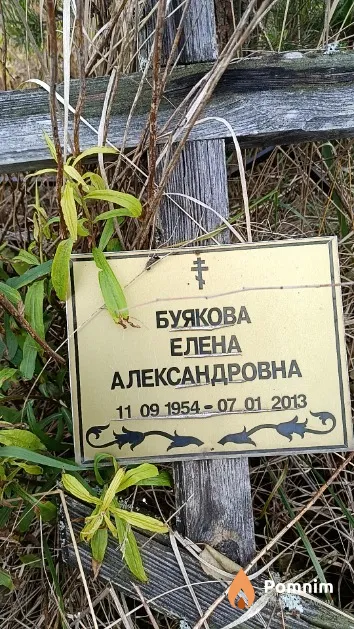 Буякова Елена Александровна