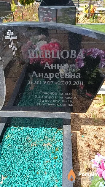Шевцова Анна Андреевна